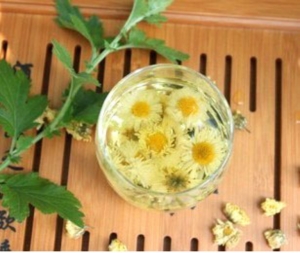 決明菊花茶代加工及價(jià)格 決明菊花茶